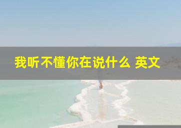 我听不懂你在说什么 英文